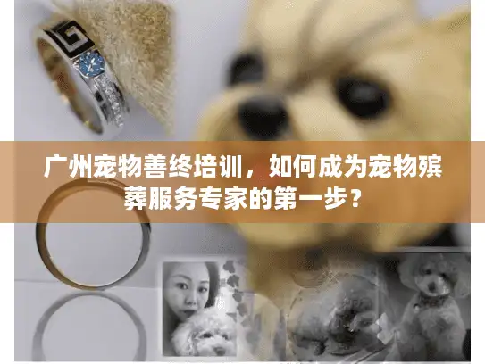 广州宠物善终培训，如何成为宠物殡葬服务专家的第一步？