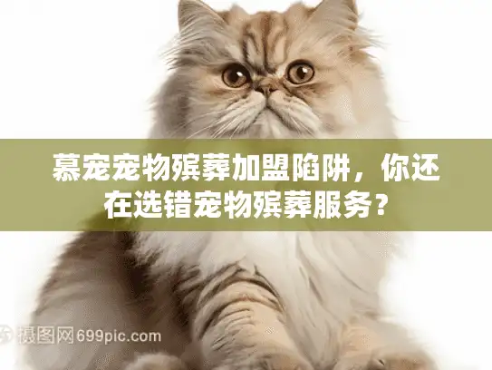 慕宠宠物殡葬加盟陷阱，你还在选错宠物殡葬服务？