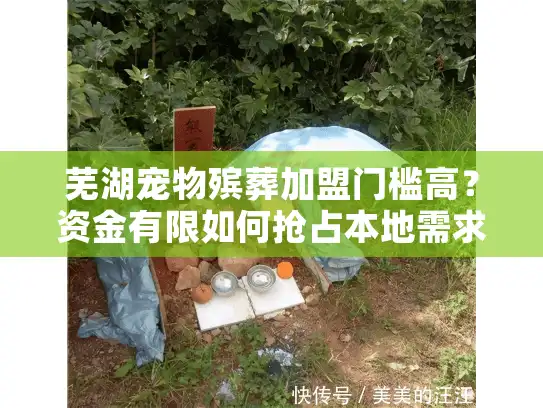 芜湖宠物殡葬加盟门槛高？资金有限如何抢占本地需求新风口