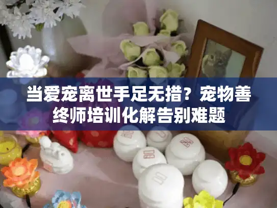 当爱宠离世手足无措？宠物善终师培训化解告别难题