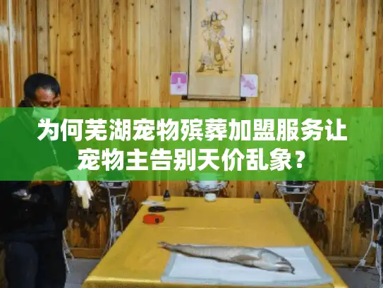 为何芜湖宠物殡葬加盟服务让宠物主告别天价乱象？