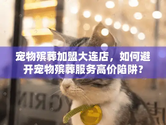 宠物殡葬加盟大连店，如何避开宠物殡葬服务高价陷阱？