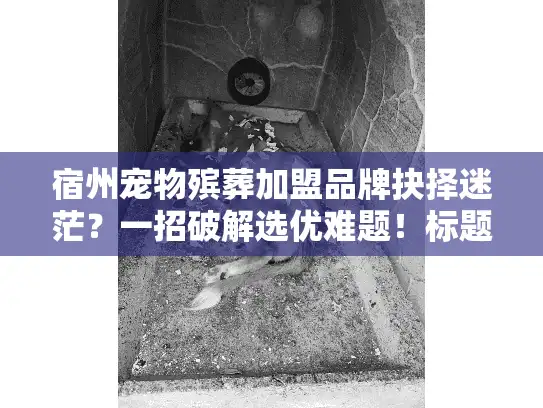 宿州宠物殡葬加盟品牌抉择迷茫？一招破解选优难题！标题独立首行）