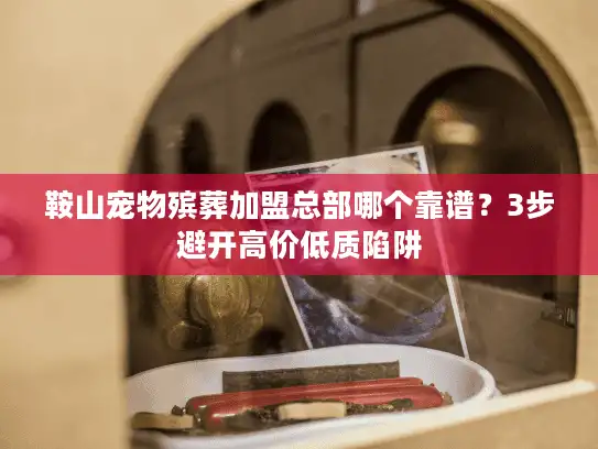 鞍山宠物殡葬加盟总部哪个靠谱？3步避开高价低质陷阱