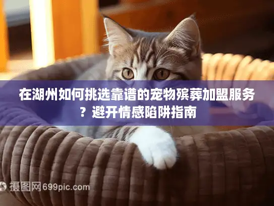 在湖州如何挑选靠谱的宠物殡葬加盟服务？避开情感陷阱指南