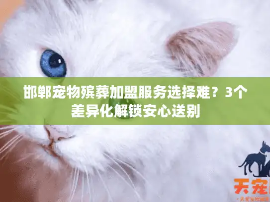 邯郸宠物殡葬加盟服务选择难？3个差异化解锁安心送别