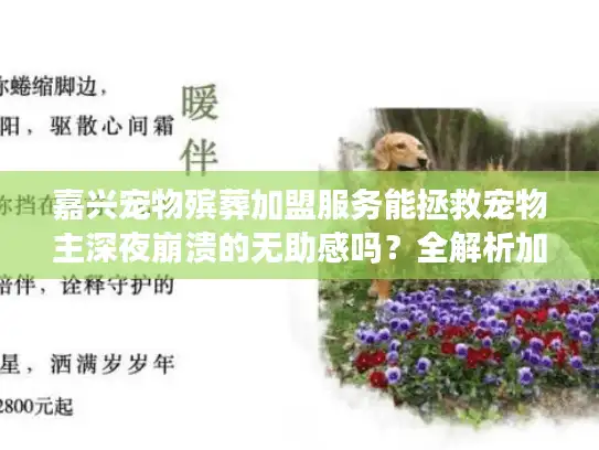 嘉兴宠物殡葬加盟服务能拯救宠物主深夜崩溃的无助感吗？全解析加盟实操方案