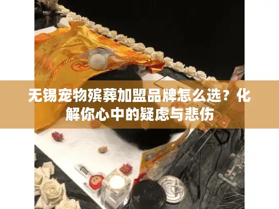 无锡宠物殡葬加盟品牌怎么选？化解你心中的疑虑与悲伤
