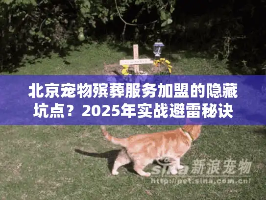 北京宠物殡葬服务加盟的隐藏坑点？2025年实战避雷秘诀