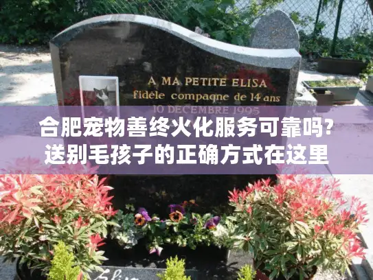 合肥宠物善终火化服务可靠吗?送别毛孩子的正确方式在这里