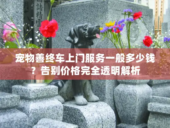 宠物善终车上门服务一般多少钱？告别价格完全透明解析