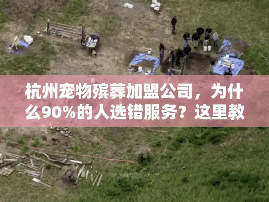 杭州宠物殡葬加盟公司，为什么90%的人选错服务？这里教你避坑诀窍！