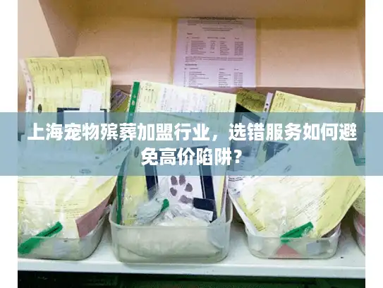 上海宠物殡葬加盟行业，选错服务如何避免高价陷阱？