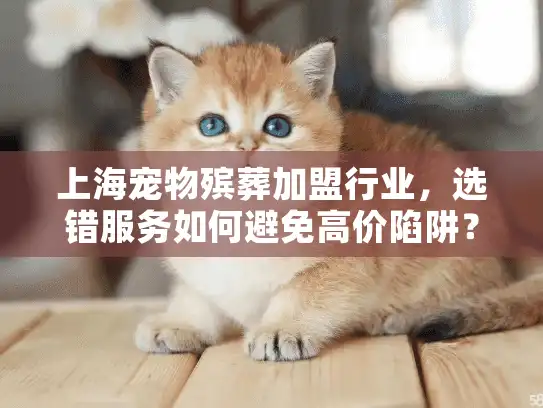 上海宠物殡葬加盟行业，选错服务如何避免高价陷阱？