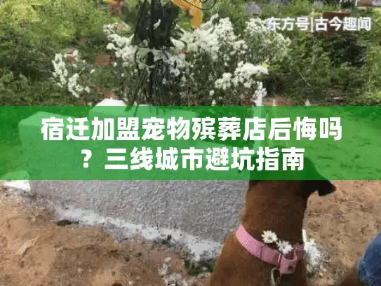 宿迁加盟宠物殡葬店后悔吗？三线城市避坑指南