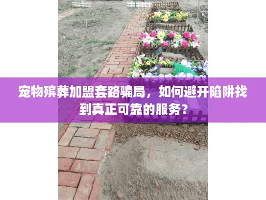 宠物殡葬加盟套路骗局，如何避开陷阱找到真正可靠的服务？