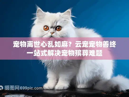 宠物离世心乱如麻？云宠宠物善终一站式解决宠物殡葬难题