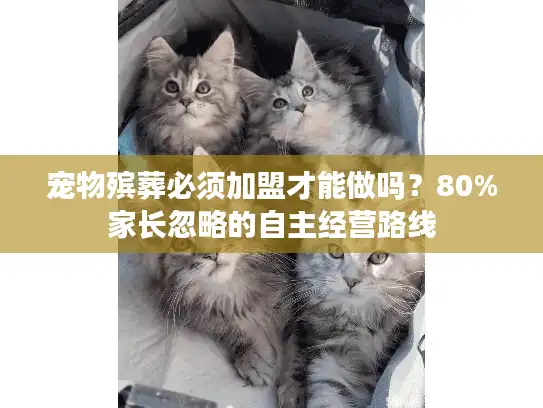 宠物殡葬必须加盟才能做吗？80%家长忽略的自主经营路线