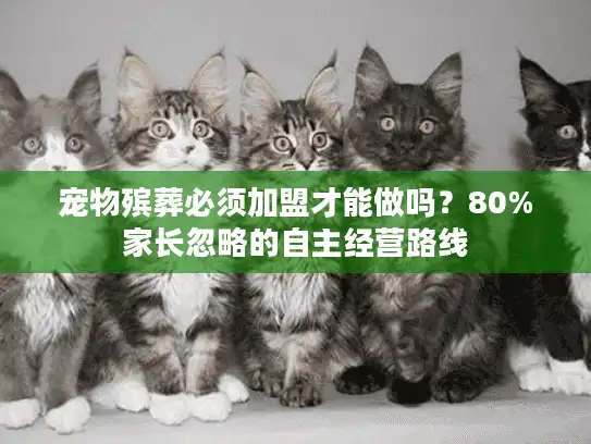 宠物殡葬必须加盟才能做吗？80%家长忽略的自主经营路线