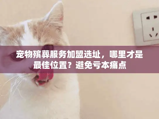 宠物殡葬服务加盟选址，哪里才是最佳位置？避免亏本痛点