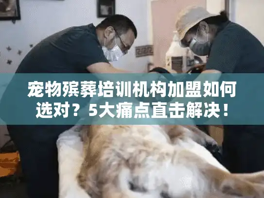 宠物殡葬培训机构加盟如何选对？5大痛点直击解决！