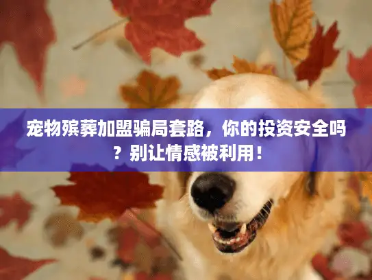 宠物殡葬加盟骗局套路，你的投资安全吗？别让情感被利用！