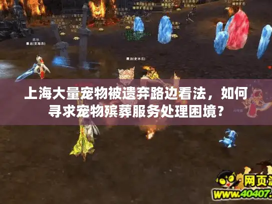 上海大量宠物被遗弃路边看法，如何寻求宠物殡葬服务处理困境？