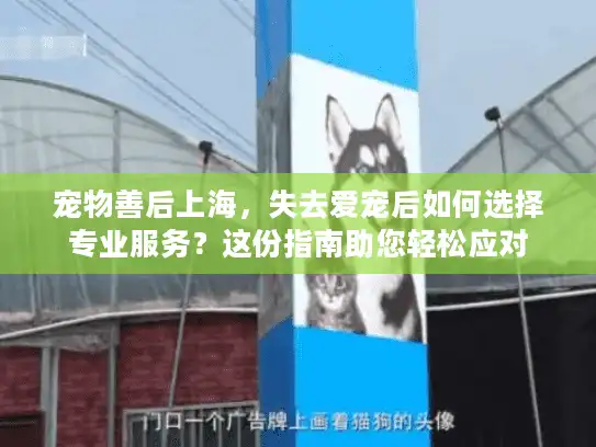 宠物善后上海，失去爱宠后如何选择专业服务？这份指南助您轻松应对