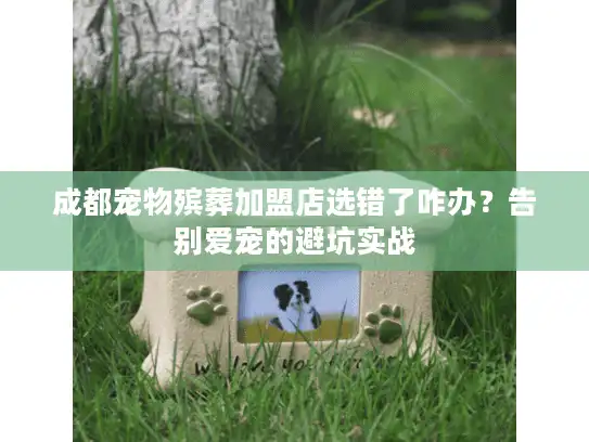 成都宠物殡葬加盟店选错了咋办？告别爱宠的避坑实战