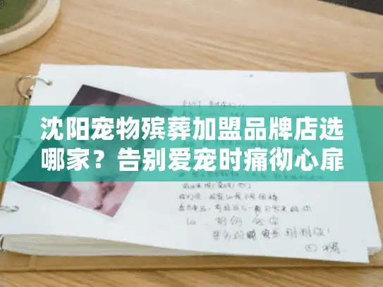 沈阳宠物殡葬加盟品牌店选哪家？告别爱宠时痛彻心扉的常见困扰如何破局