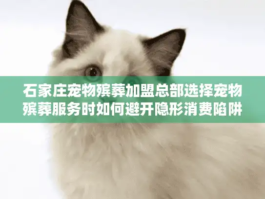 石家庄宠物殡葬加盟总部选择宠物殡葬服务时如何避开隐形消费陷阱？