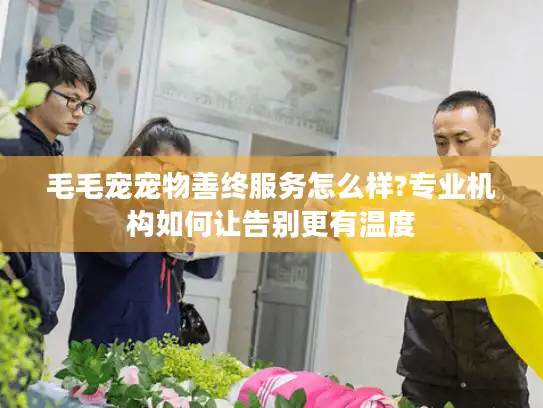 毛毛宠宠物善终服务怎么样?专业机构如何让告别更有温度