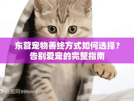 东营宠物善终方式如何选择？告别爱宠的完整指南