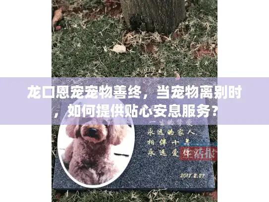 龙口恩宠宠物善终，当宠物离别时，如何提供贴心安息服务？