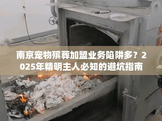 南京宠物殡葬加盟业务陷阱多？2025年精明主人必知的避坑指南