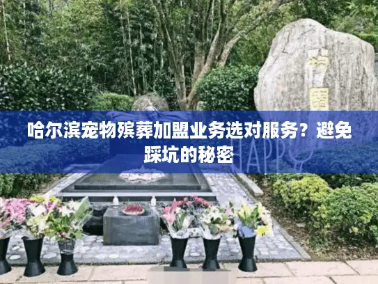 哈尔滨宠物殡葬加盟业务选对服务？避免踩坑的秘密