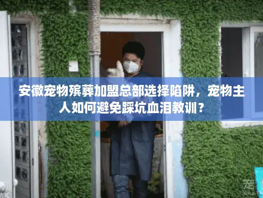 安徽宠物殡葬加盟总部选择陷阱，宠物主人如何避免踩坑血泪教训？