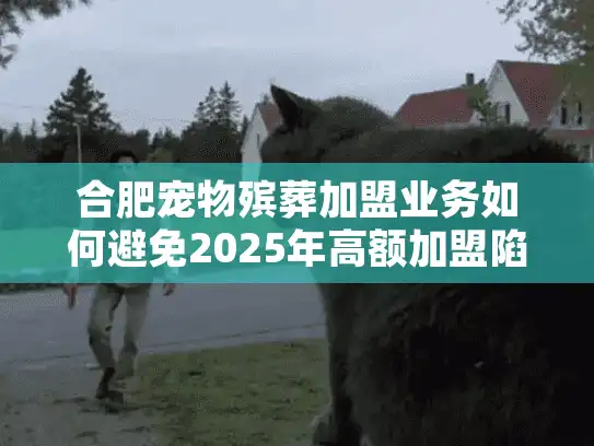合肥宠物殡葬加盟业务如何避免2025年高额加盟陷阱？