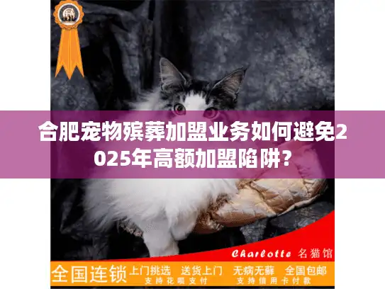 合肥宠物殡葬加盟业务如何避免2025年高额加盟陷阱？