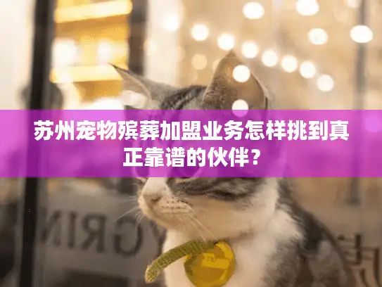 苏州宠物殡葬加盟业务怎样挑到真正靠谱的伙伴？