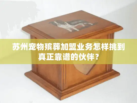 苏州宠物殡葬加盟业务怎样挑到真正靠谱的伙伴？