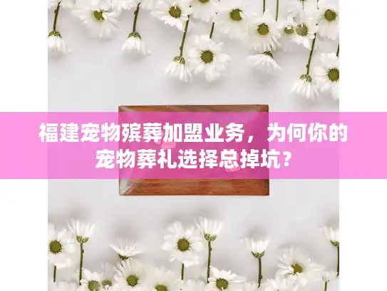 福建宠物殡葬加盟业务，为何你的宠物葬礼选择总掉坑？