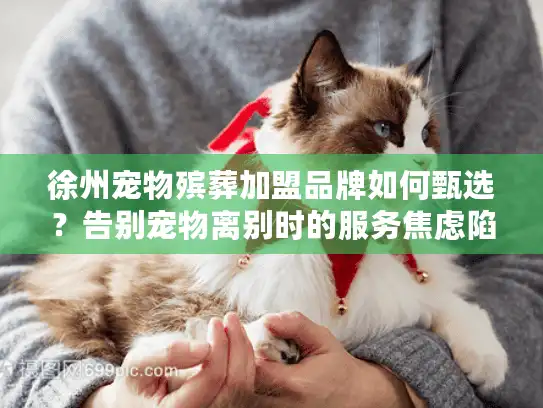 徐州宠物殡葬加盟品牌如何甄选？告别宠物离别时的服务焦虑陷阱