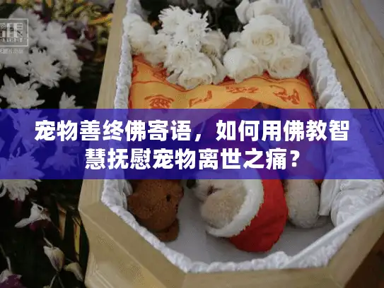 宠物善终佛寄语，如何用佛教智慧抚慰宠物离世之痛？