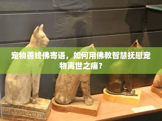宠物善终佛寄语，如何用佛教智慧抚慰宠物离世之痛？