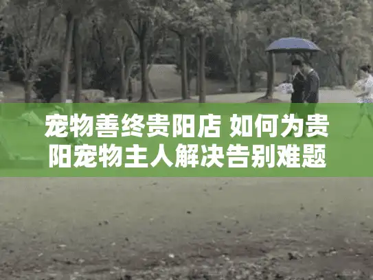 宠物善终贵阳店 如何为贵阳宠物主人解决告别难题？