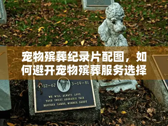 宠物殡葬纪录片配图，如何避开宠物殡葬服务选择陷阱？
