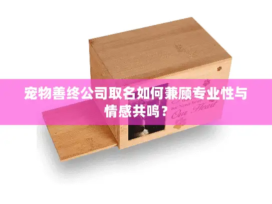 宠物善终公司取名如何兼顾专业性与情感共鸣？
