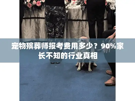 宠物殡葬师报考费用多少？90%家长不知的行业真相