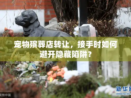 宠物殡葬店转让，接手时如何避开隐藏陷阱？